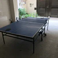 میز پینگ پنگ