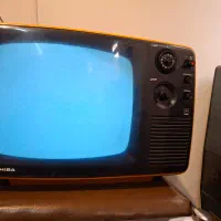 تلویزیون ۱۴ اینچ توشیبا