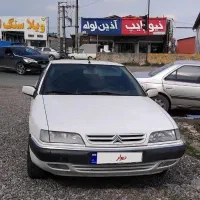 زانتیا وحشی