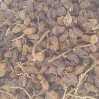 کشمش ابگیری کیفیت بالا|خوردنی و آشامیدنی|نیشابور, ابراهیم ادهم|دیوار