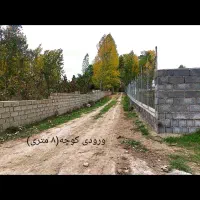 فروش زمین ۲۰۰ متری در کلاردشت|فروش زمین و ملک کلنگی|کلاردشت, |دیوار
