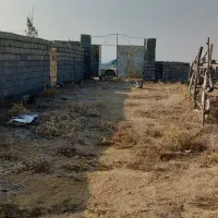 زمین از دم شرایط