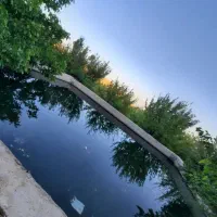 باغ میوه|فروش دفتر صنعتی، کشاورزی، تجاری|یاسوج, |دیوار