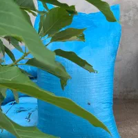 کود گاوی|خدمات باغبانی و درختکاری|گرگان, |دیوار