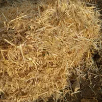کاه نرم ودرشت|حیوانات مزرعه|اصفهان, سرشبادران|دیوار