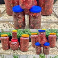 انواع ترشیجات خونگی سفارش پذیرفته میشودهرنوع ترشی