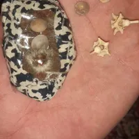 بهداشت ودرمان