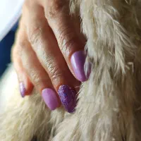 استخدام ناخنکار با درصد بالا  بشرط حرفه ای بودن|استخدام درمانی، زیبایی، بهداشتی|تهران, دروازه شمیران|دیوار