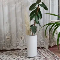 گل و گیاه