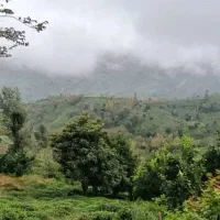 باغشهر-اهلبیت-صدرا