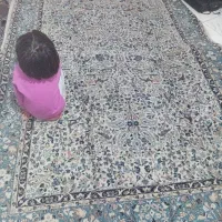 فرش نه متری قالی سلیمان|فرش|بومهن, |دیوار