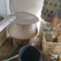 پرکن مرغ