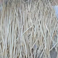 پیش سفید یا پیش دل درجه یک و بلند|صنایع دستی و سایر لوازم تزئینی|میناب, |دیوار