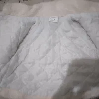 پالتو بچگانه