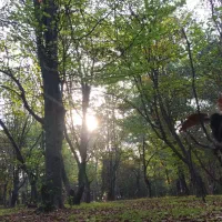 گوشی شیامی پیدا شده