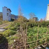 فروش-زمین-شهری-سوستان