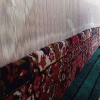 قالی دست باف یک ونیم دونیم خشتی|فرش|شهرکرد, |دیوار