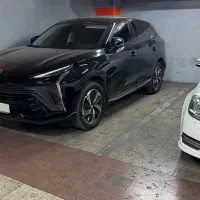 لاماری هیبرید