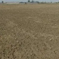 دو هکتار زمین