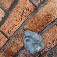 شهاب سنگ|کلکسیون اشیاء عتیقه|اسدآباد, |دیوار