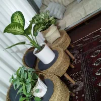 دوعددصندلی پاف بایه میزپاف نونو اصلا استفاده نشده