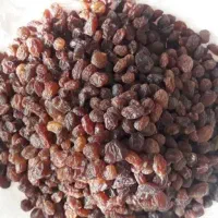 کشمش پاک شده پلویی آفتابی