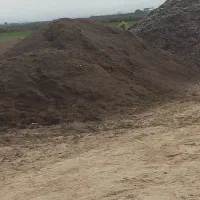 کود گوسفندی