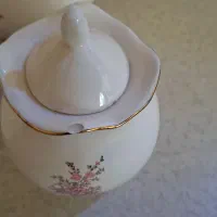 گل میخک|ظروف سرو و پذیرایی|مشهد, ولیعصر (شهرک غرب)|دیوار