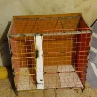 لانه حیوانات