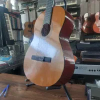 گیتار فندر در موزیک ارژنگ|گیتار، بیس، امپلیفایر|پردیس, فاز ۳|دیوار