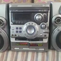 ضبط سالم به شرط