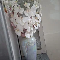 گل وگلدان اولی ۲تومن