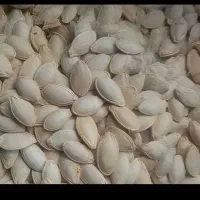 تخم کدو|خوردنی و آشامیدنی|اصفهان, امین‌آباد|دیوار