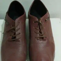 کفش|کیف، کفش، کمربند|کنارک, |دیوار