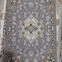 پادری نو