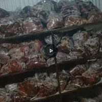 گوشت منجمد گوساله