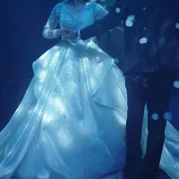 لباس عروسی|لباس|تهران, تهران‌نو|دیوار