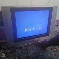 تلویزیون21 اینچ|تلویزیون و پروژکتور|مشهد, شهید احمدی روشن|دیوار