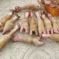 سیراب و پاچه