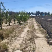 250متر-چهار-دیواری