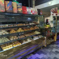 یخجال آکواریمی و ویترینی|فروشگاه و مغازه|پیرانشهر, |دیوار