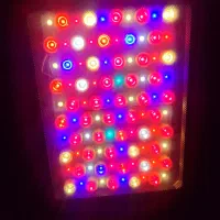 لامپ رشد گیاه