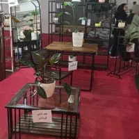 جلو مبلی|مبلمان خانگی و میز عسلی|نوشین شهر, |دیوار