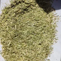 خارشتر با آنالیز|حیوانات مزرعه|اصفهان, جلفا|دیوار