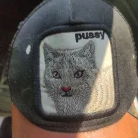 دلیر هیاتی انکور ۵ کیلو