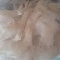 پشم گوسفندی|رختخواب، بالش، پتو|بلداجی, |دیوار