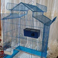 قفس پرنده لانه پرنده|لوازم جانبی حیوانات|بروجرد, |دیوار