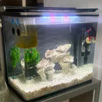 آکواریوم با تمام تجهیزات و دکور
