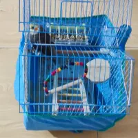 قفس نو با وسایل