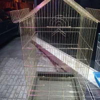 کلکسیون قفس پرنده|لوازم جانبی حیوانات|تربت‌حیدریه, شهید قرنی|دیوار